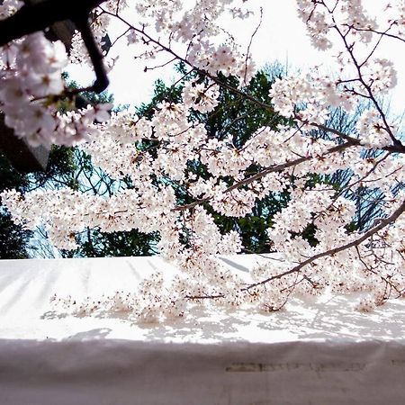 Tora Hotel Tokyo-Kitaueno 寅ホテル北上野 외부 사진