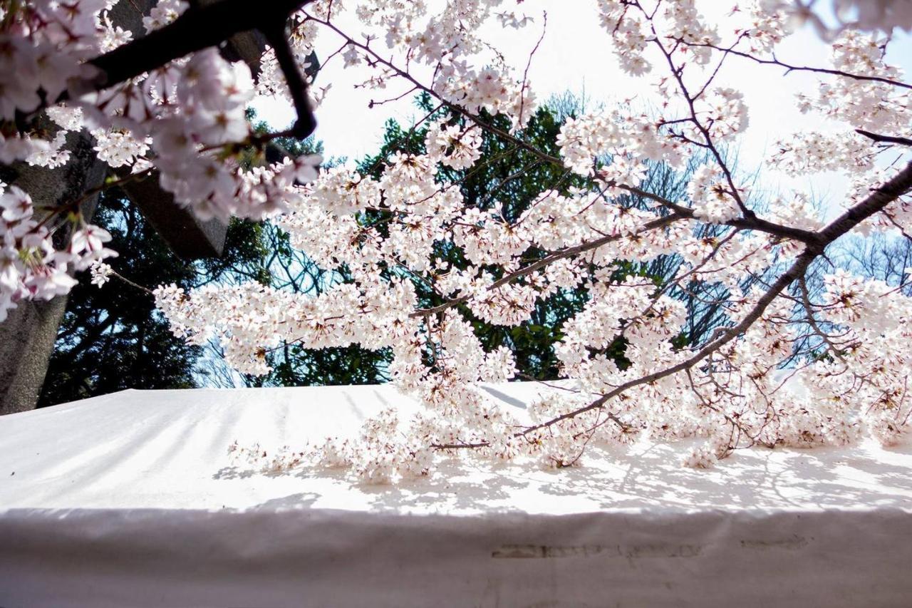 Tora Hotel Tokyo-Kitaueno 寅ホテル北上野 외부 사진